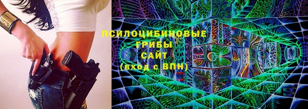 PSILOCYBIN Каменногорск