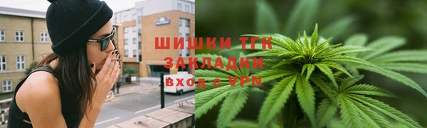 PSILOCYBIN Каменногорск