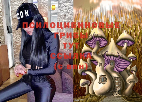 амф Козловка