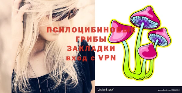 MDMA Premium VHQ Инта