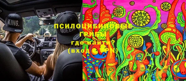 сатива Козельск