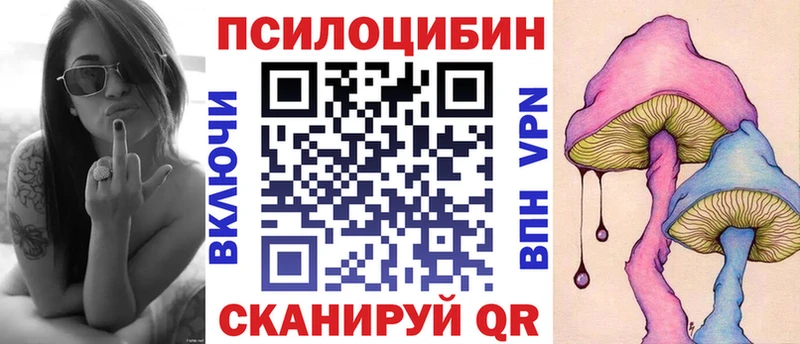 Псилоцибиновые грибы Psilocybine cubensis  Купить где  Конаково 