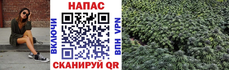 Бошки Шишки OG Kush  Купить где  Конаково 